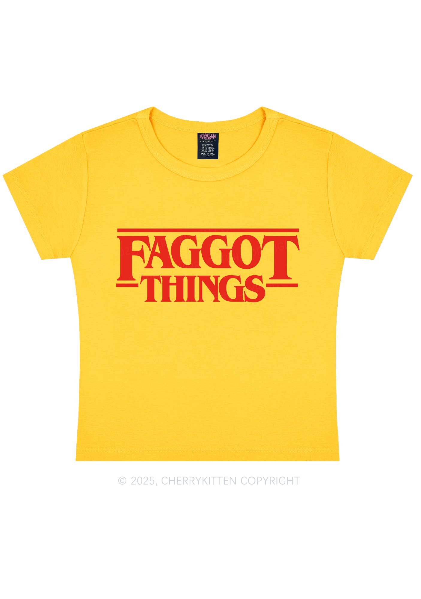 Faggot Things Pride Y2K Baby Tee Cherrykitten
