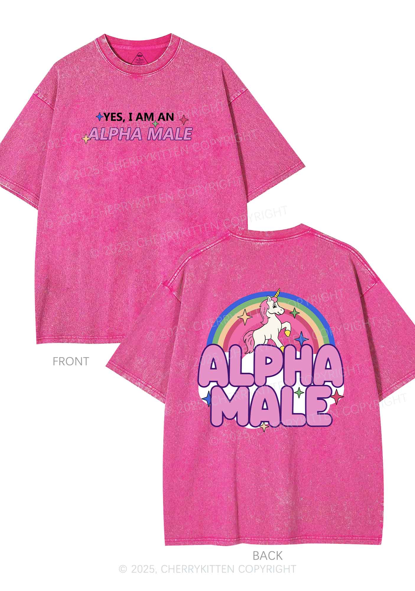 Alpha Male Two Sides Pride Y2K Shirts Washed Tee Cherrykitten