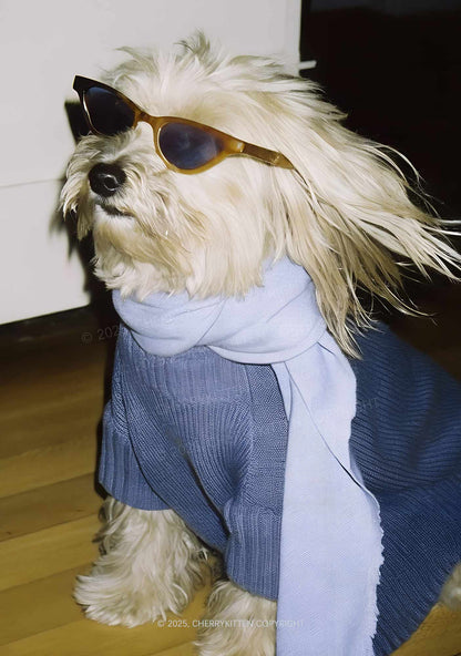 Sunglasses Puppy Y2K Print Slip Dress Cherrykitten