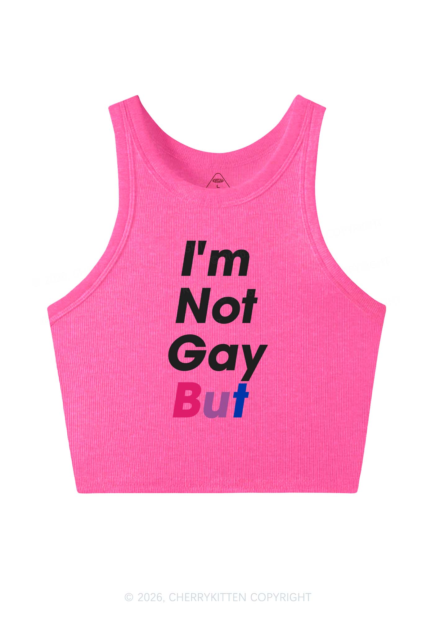 Im Not Gay But Pride Y2K Crop Tank Top Cherrykitten