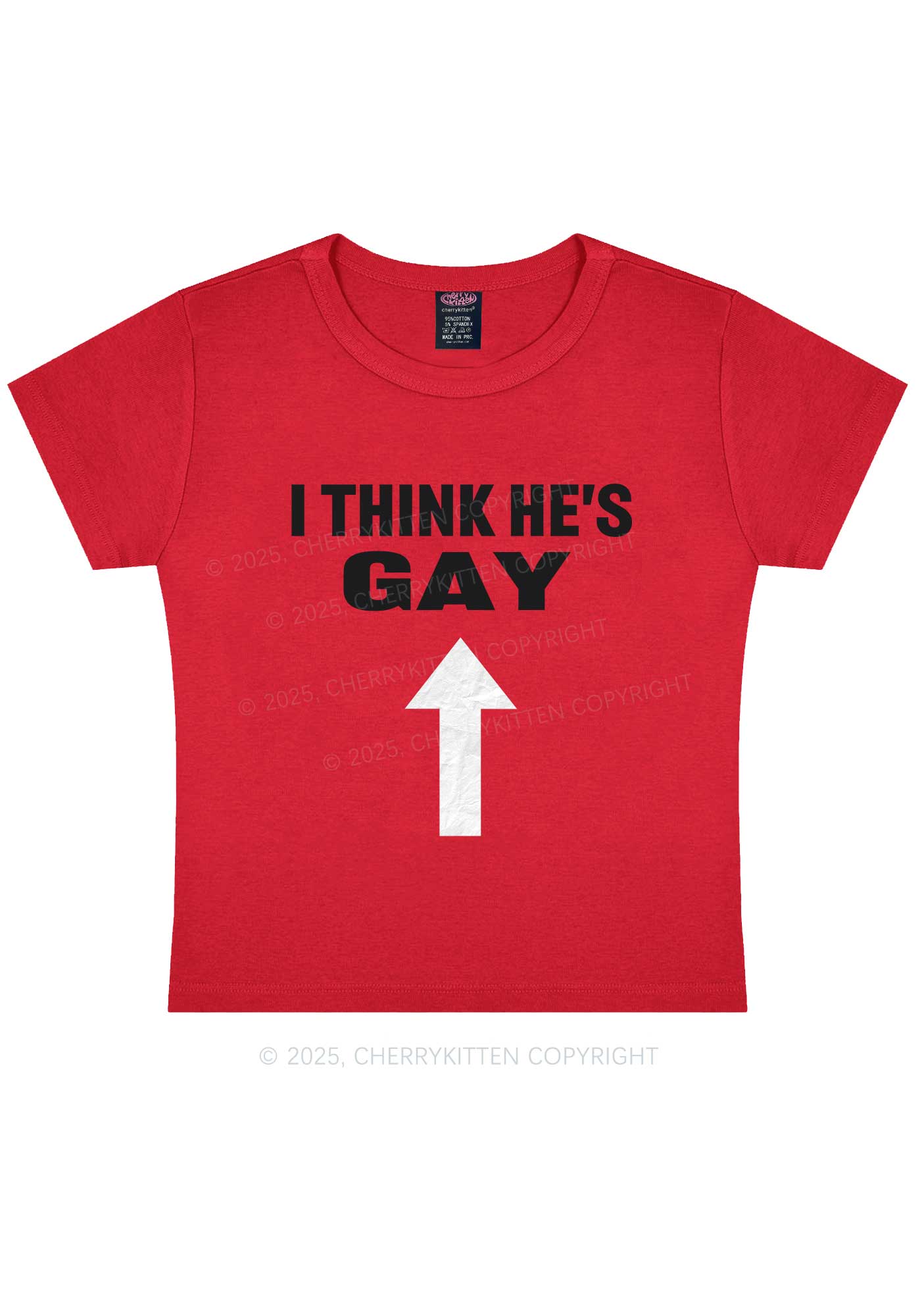 He Is Gay Y2K Baby Tee Cherrykitten