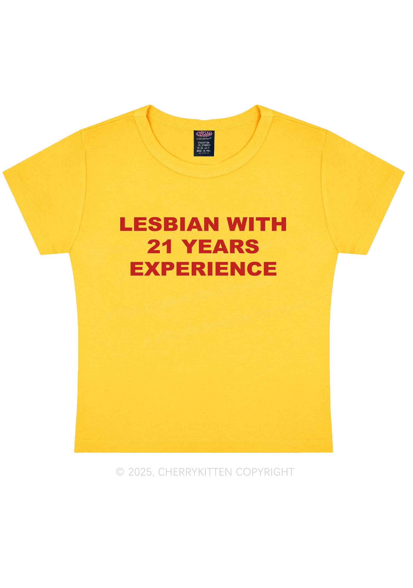 Custom Lesbian Experience Pride Y2K Baby Tee Cherrykitten