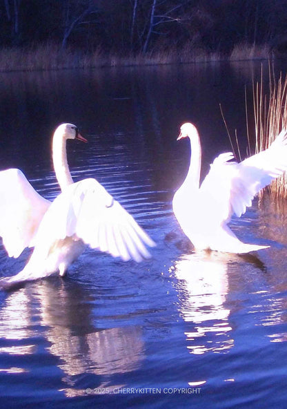 Swans on Water Y2K Mesh Crop Top Cherrykitten