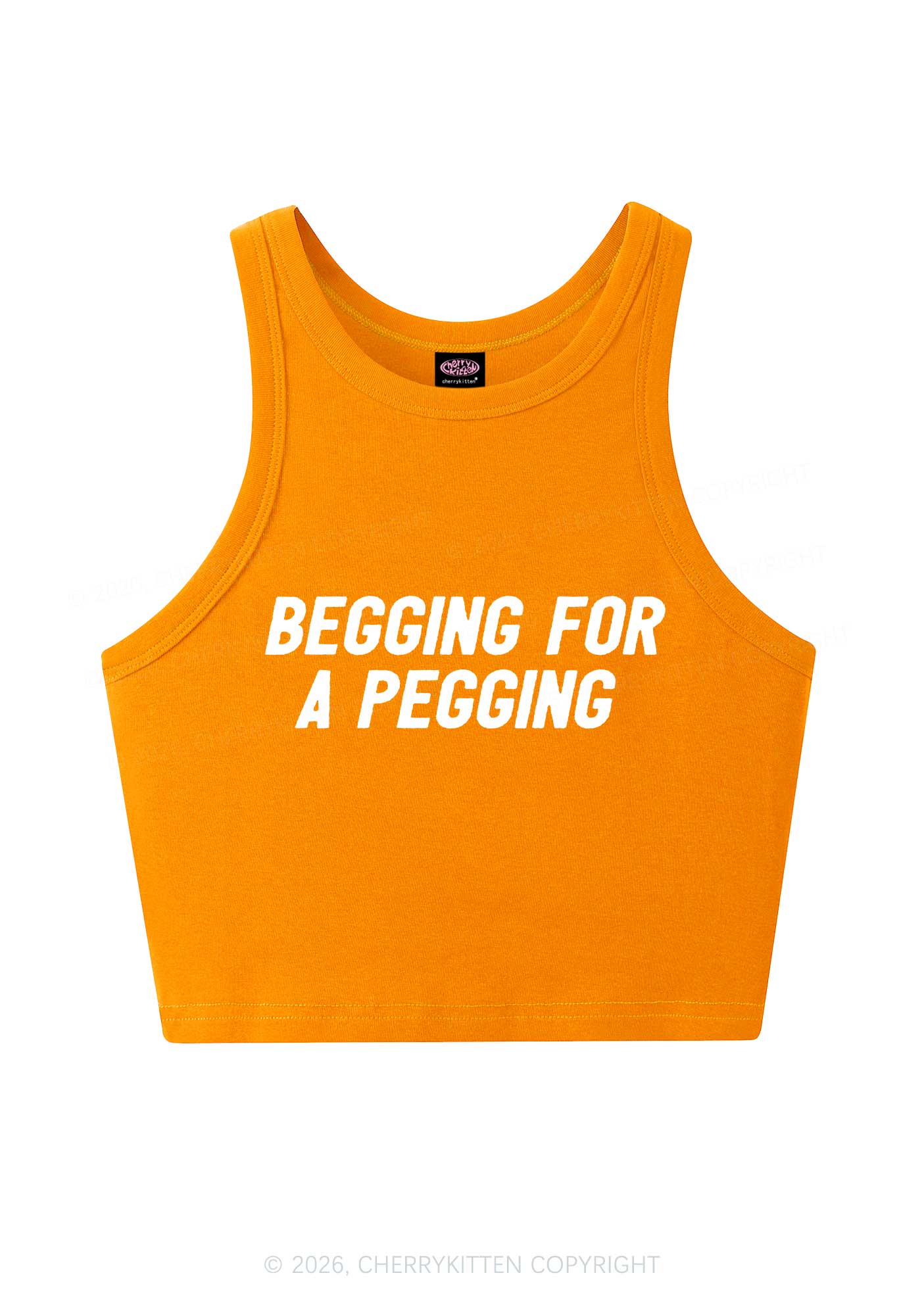 Begging For A Pegging Y2K Crop Tank Top Cherrykitten