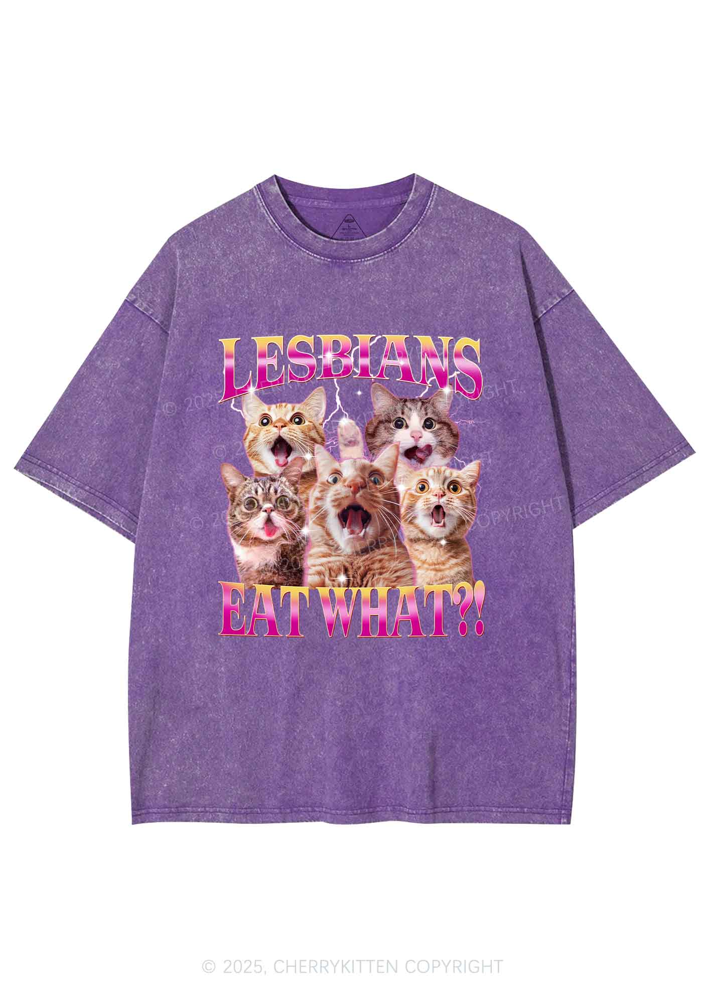 Funny Lesbian Cat Y2K Shirts Washed Tee Cherrykitten