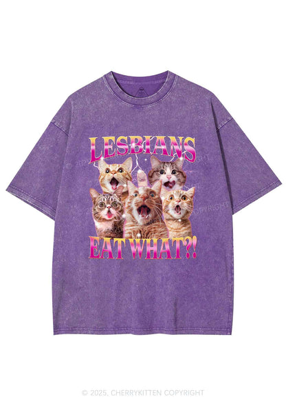 Funny Lesbian Cat Y2K Shirts Washed Tee Cherrykitten