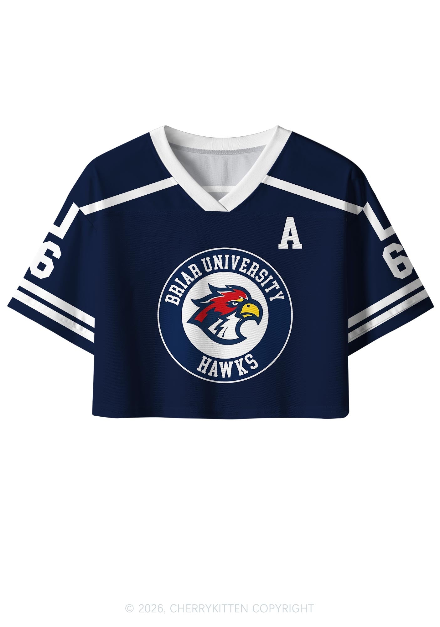 College Hockey Team DL Y2K Crop Sport Jersey Shirts Cherrykitten