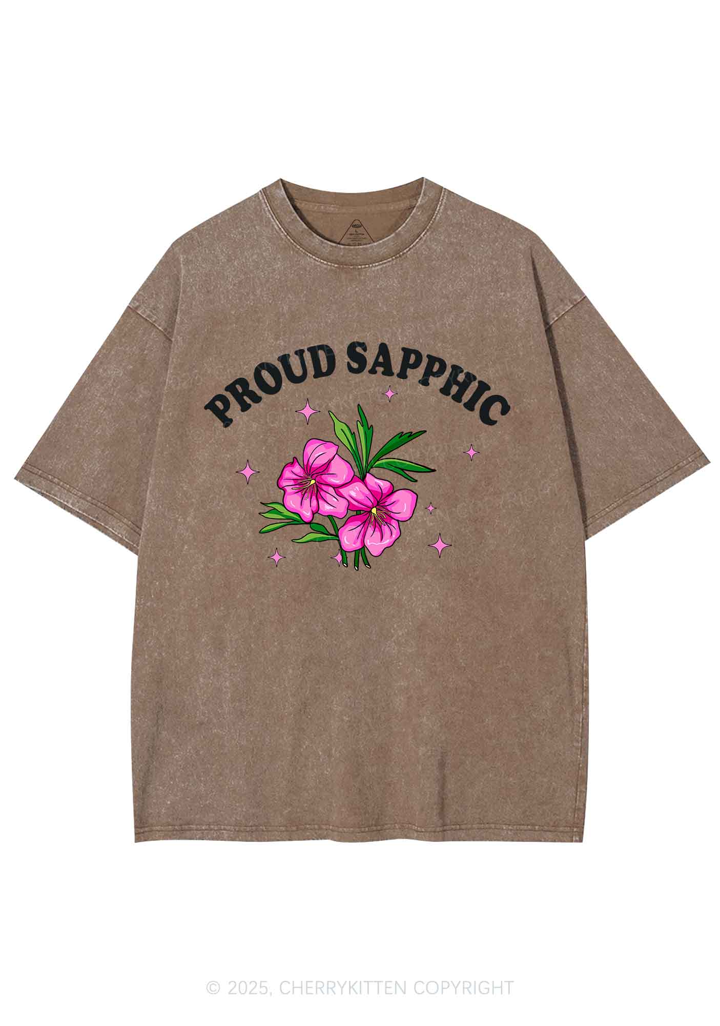 Proud Sapphic Y2K Shirts Washed Tee Cherrykitten