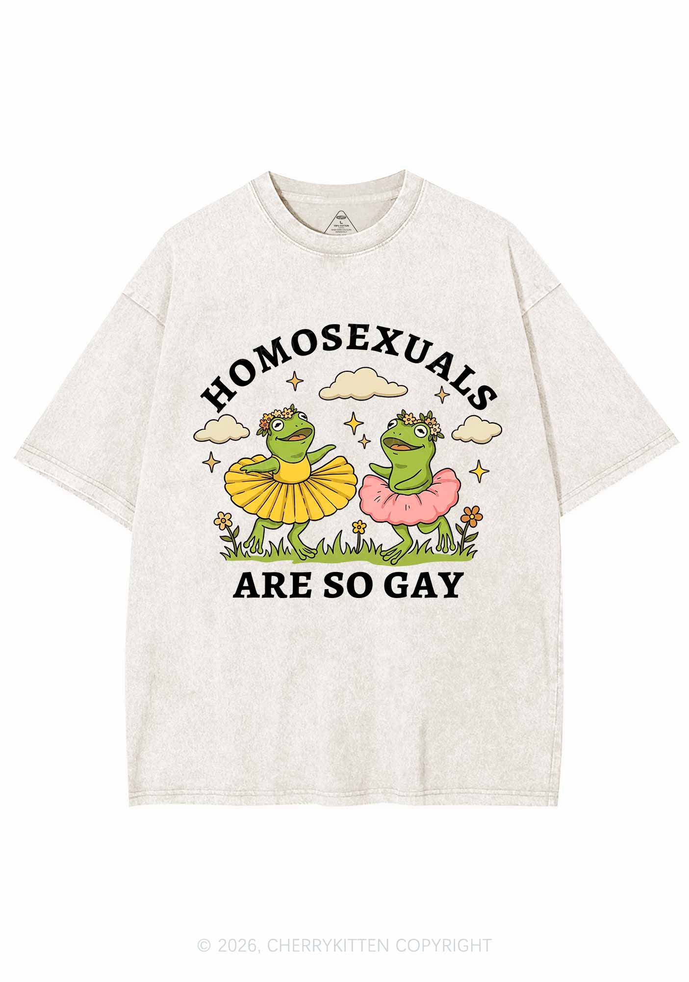 Homosexuals Are So Gay Pride Y2K Shirts Washed Tee Cherrykitten