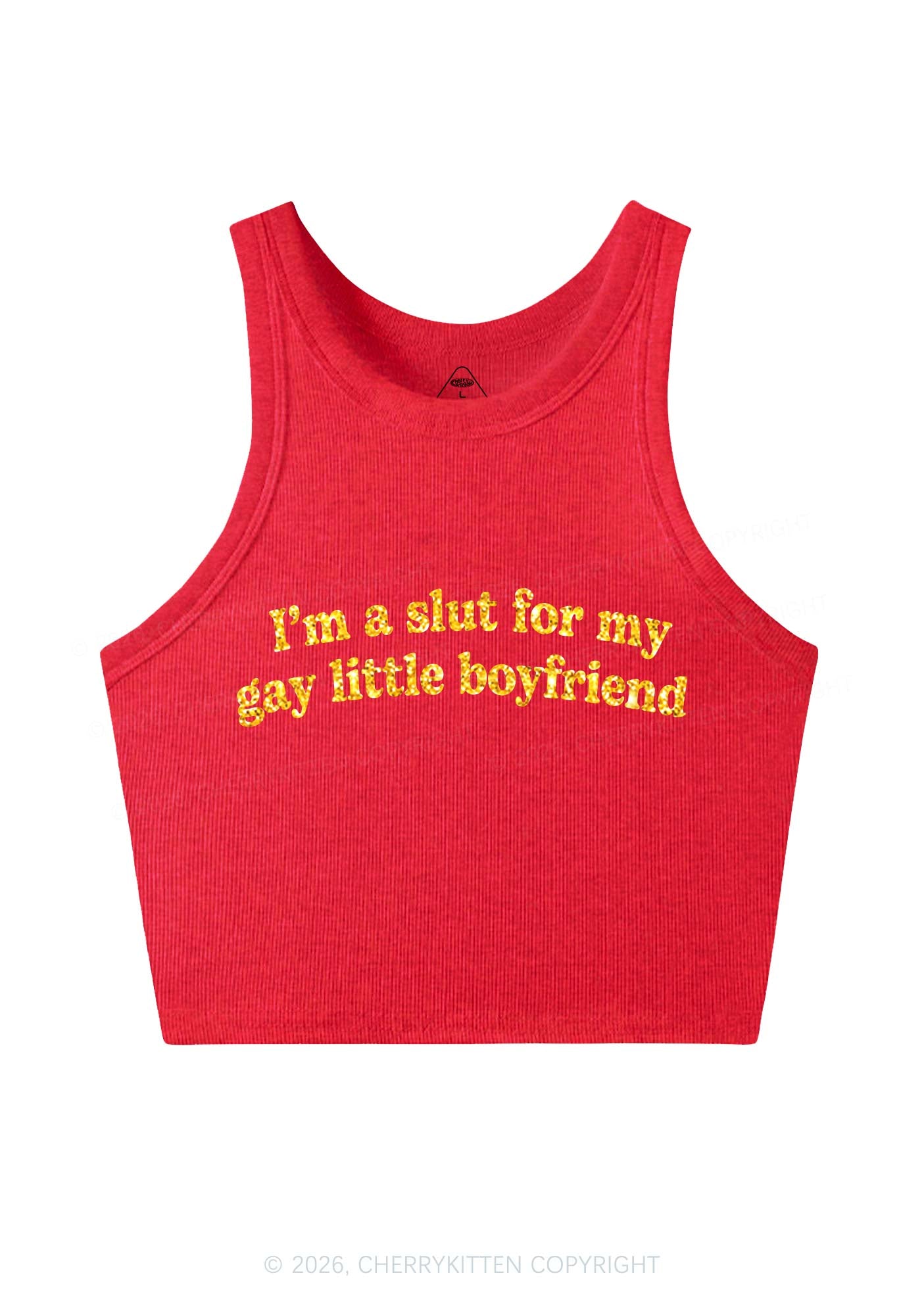 Glitter Slxt For My Gay BF Pride Y2K Crop Tank Top Cherrykitten