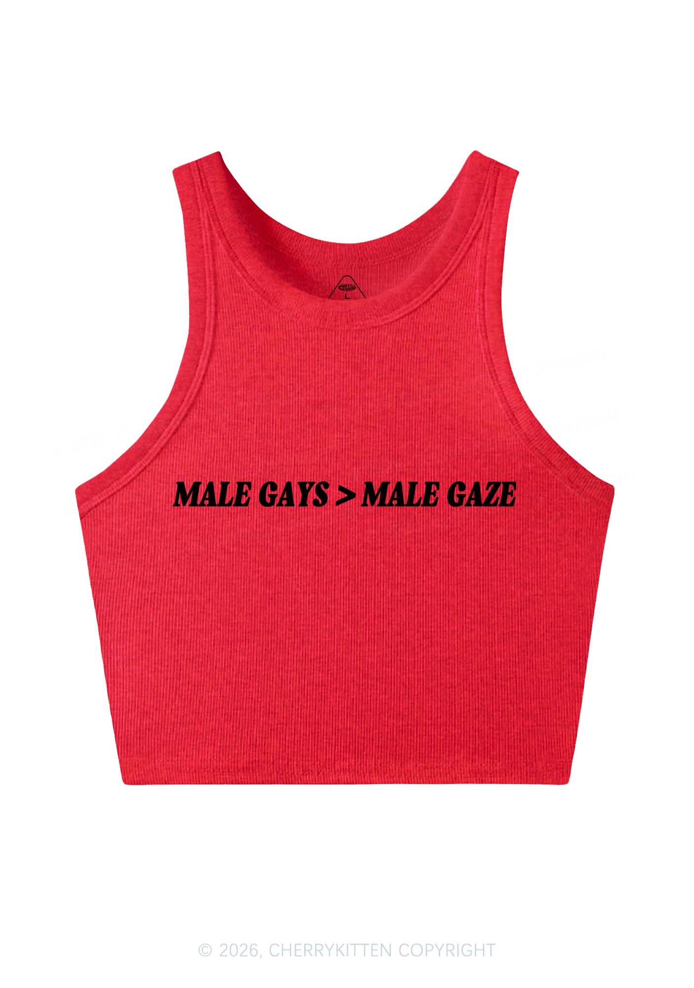 Male Gays Male Gaze Pride Y2K Crop Tank Top Cherrykitten