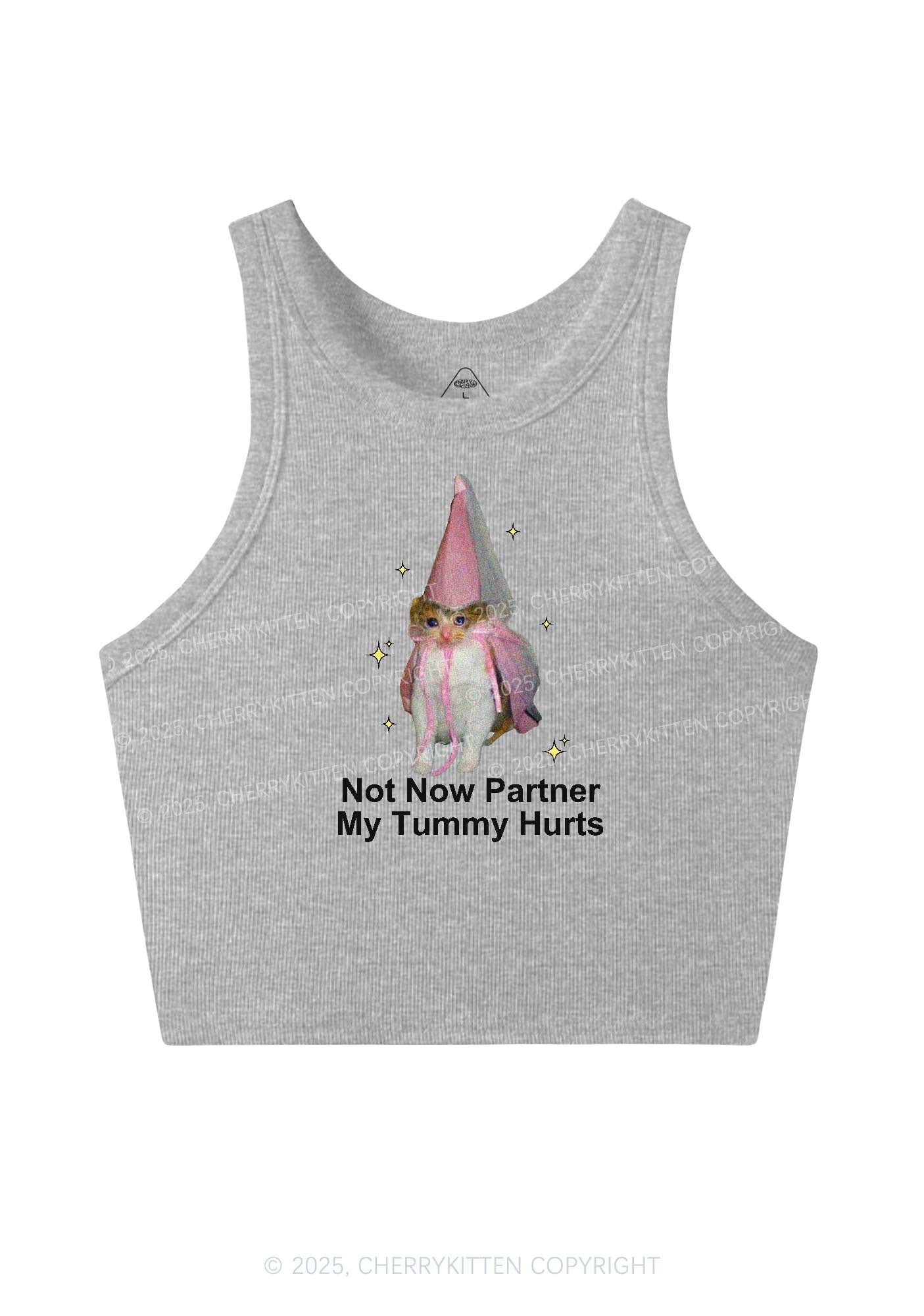 Tummy Hurts Cat Y2K Crop Tank Top Cherrykitten