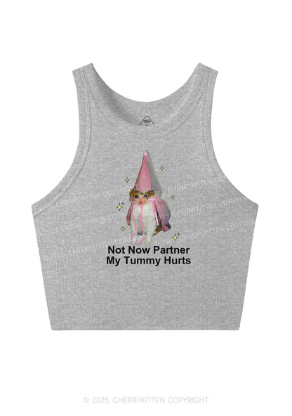Tummy Hurts Cat Y2K Crop Tank Top Cherrykitten