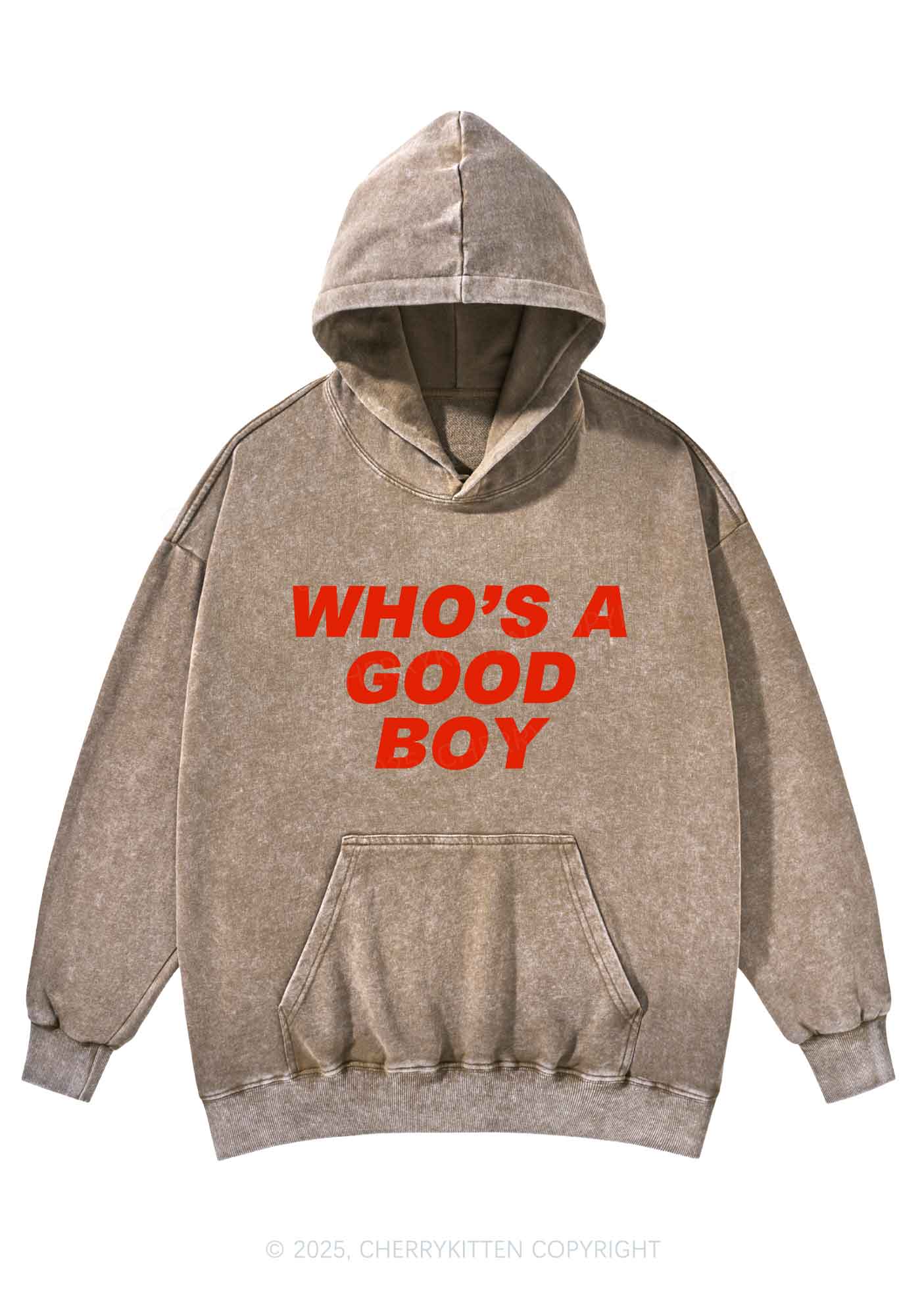 Whos A Good Boy Y2K Washed Hoodie Cherrykitten