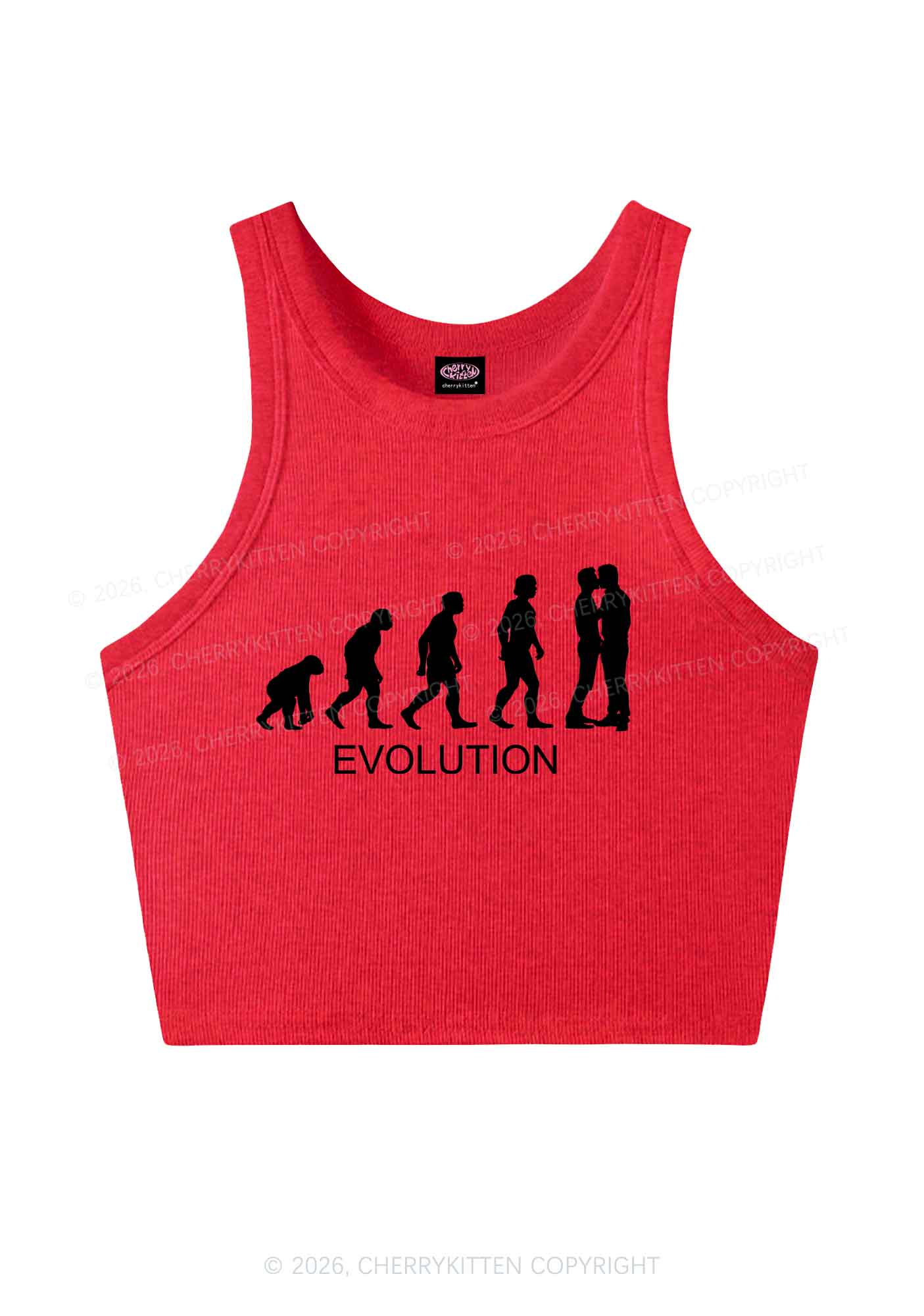 Gay Evolution Pride Y2K Crop Tank Top Cherrykitten