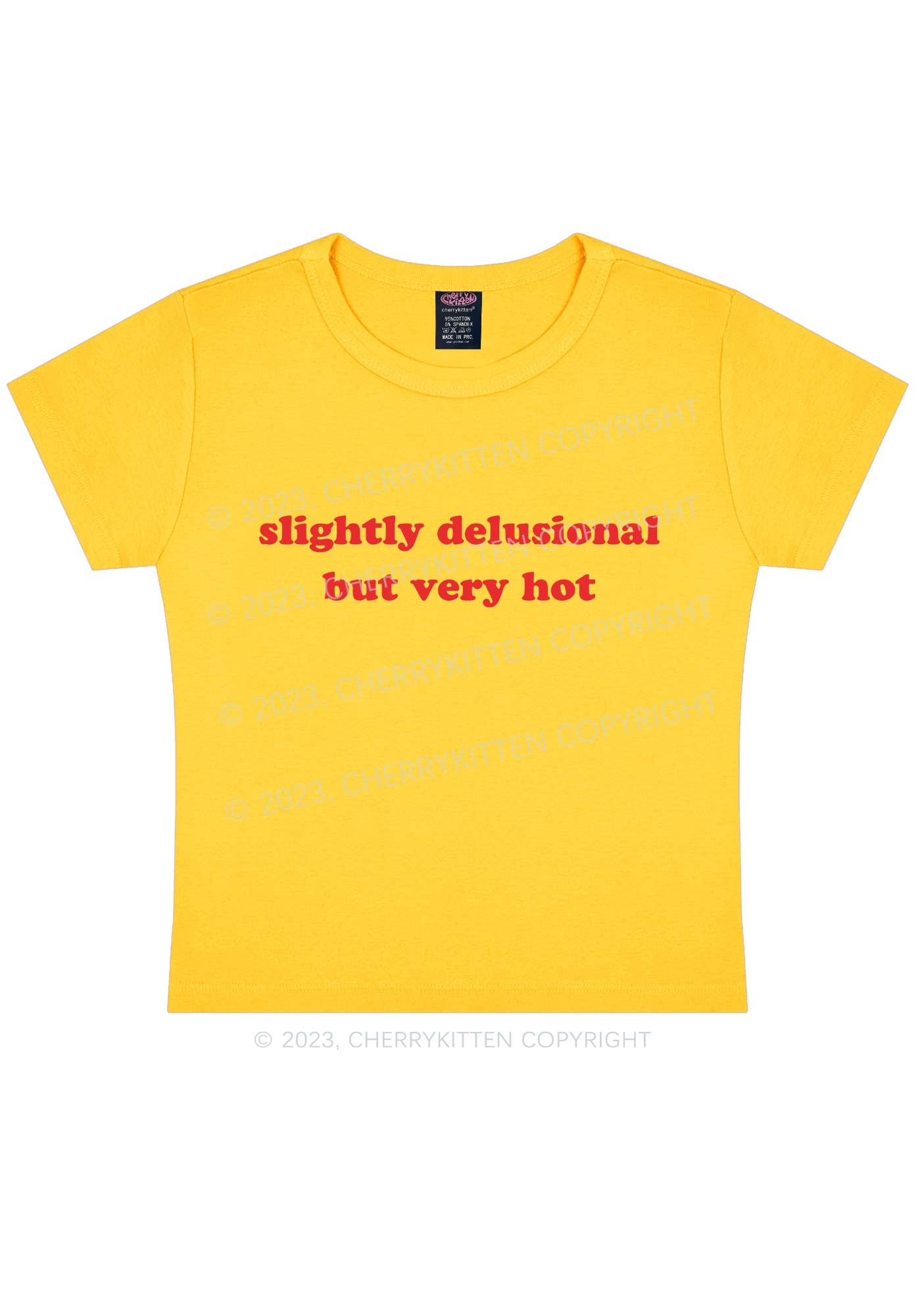 Slightly Delusional But Very Hot Y2K Baby Tee