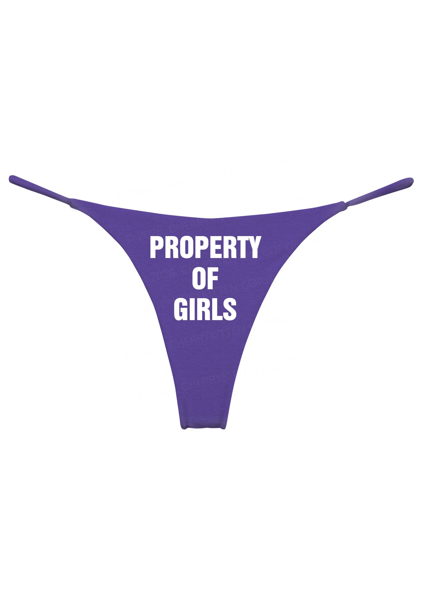 Property Of Girls Pride Y2K Bikini String Thong Cherrykitten