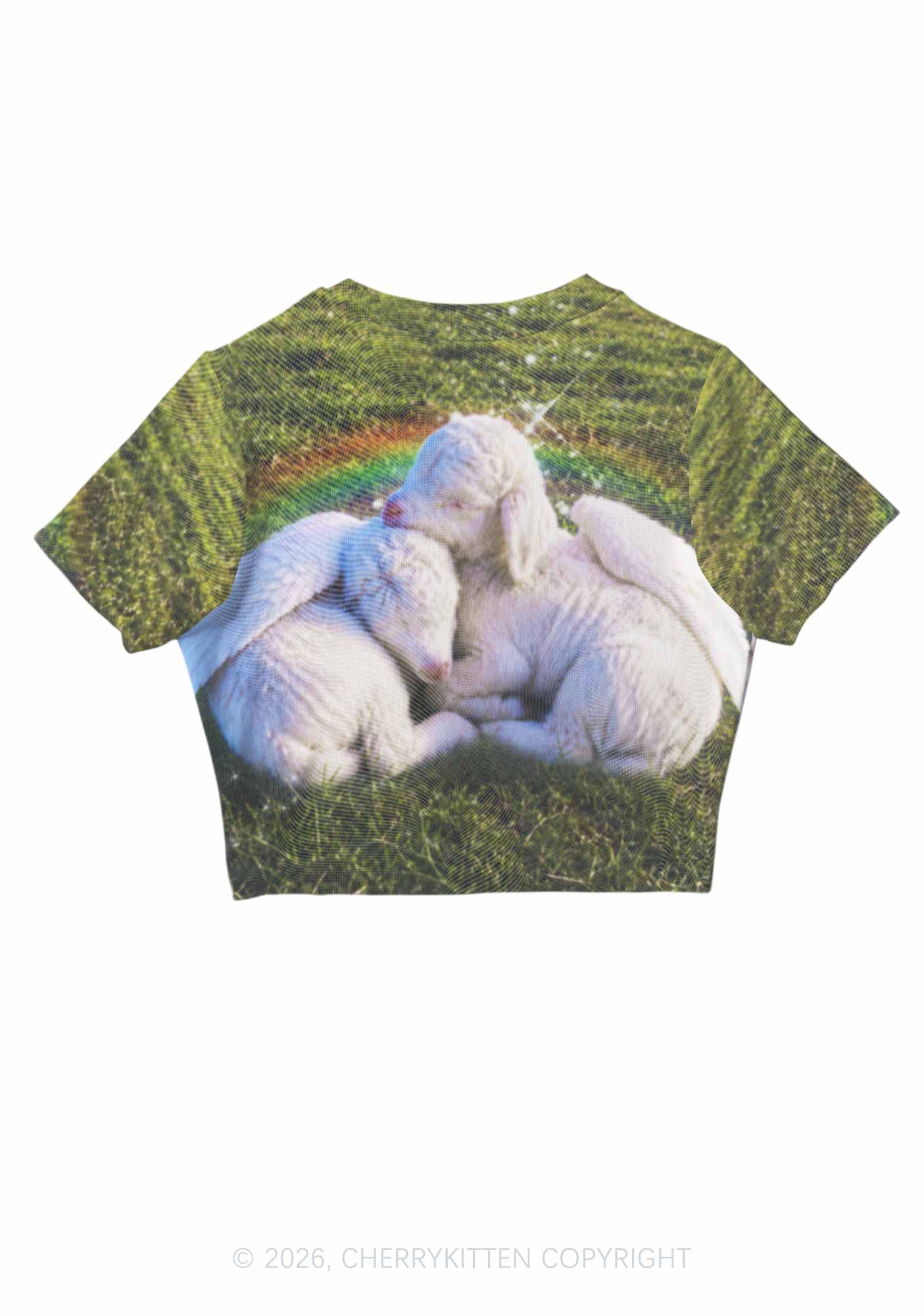 Angel Wings Baby Lambs Y2K Mesh Crop Top Cherrykitten