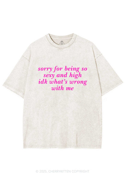 Sorry For Being So High Y2K Shirts Washed Tee Cherrykitten