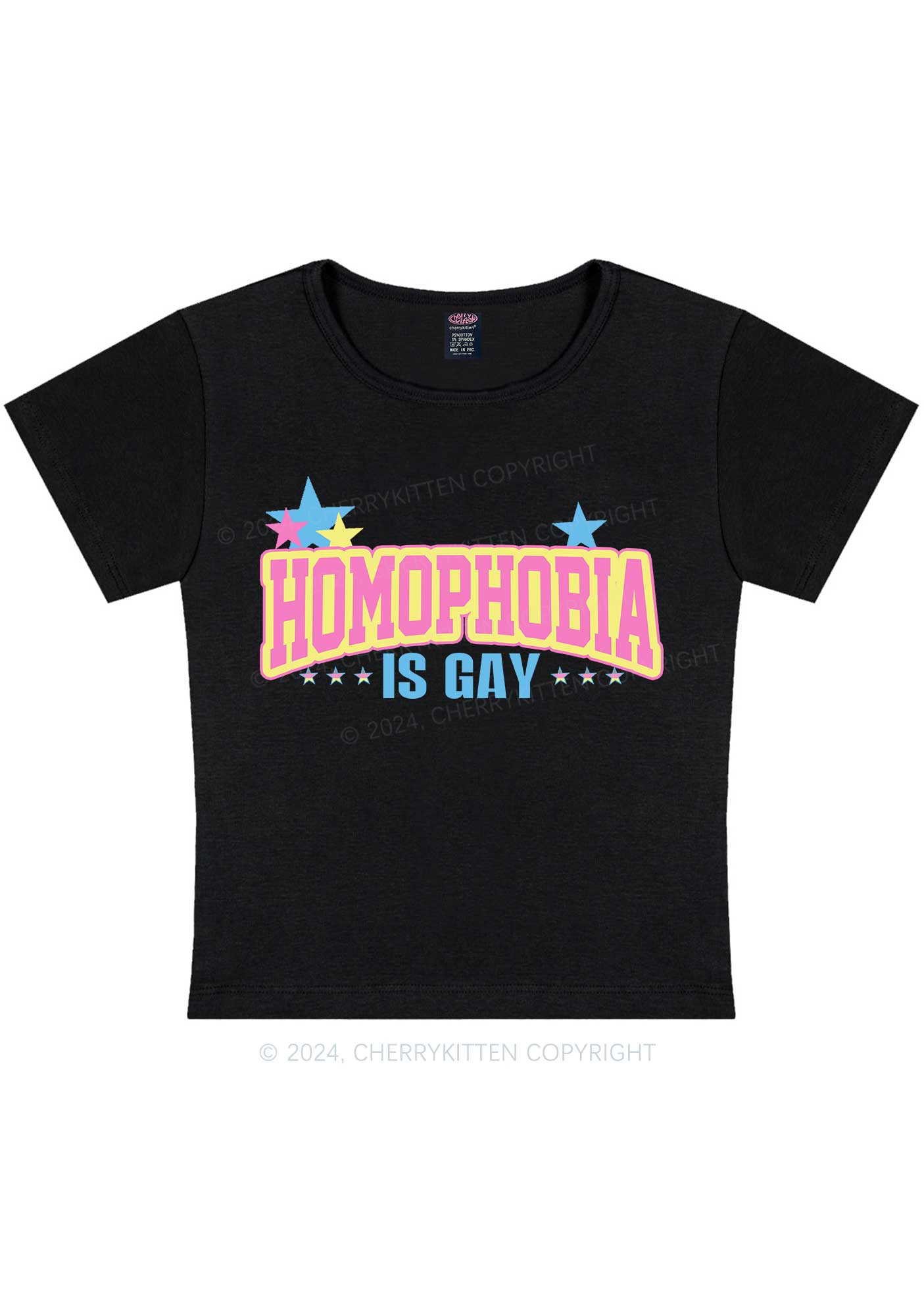 Curvy Homophobia Is Gay Y2K Baby Tee Cherrykitten
