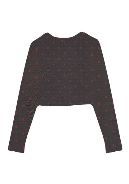 Bow Ties Y2K Mesh Long Sleeve Crop Top Cherrykitten