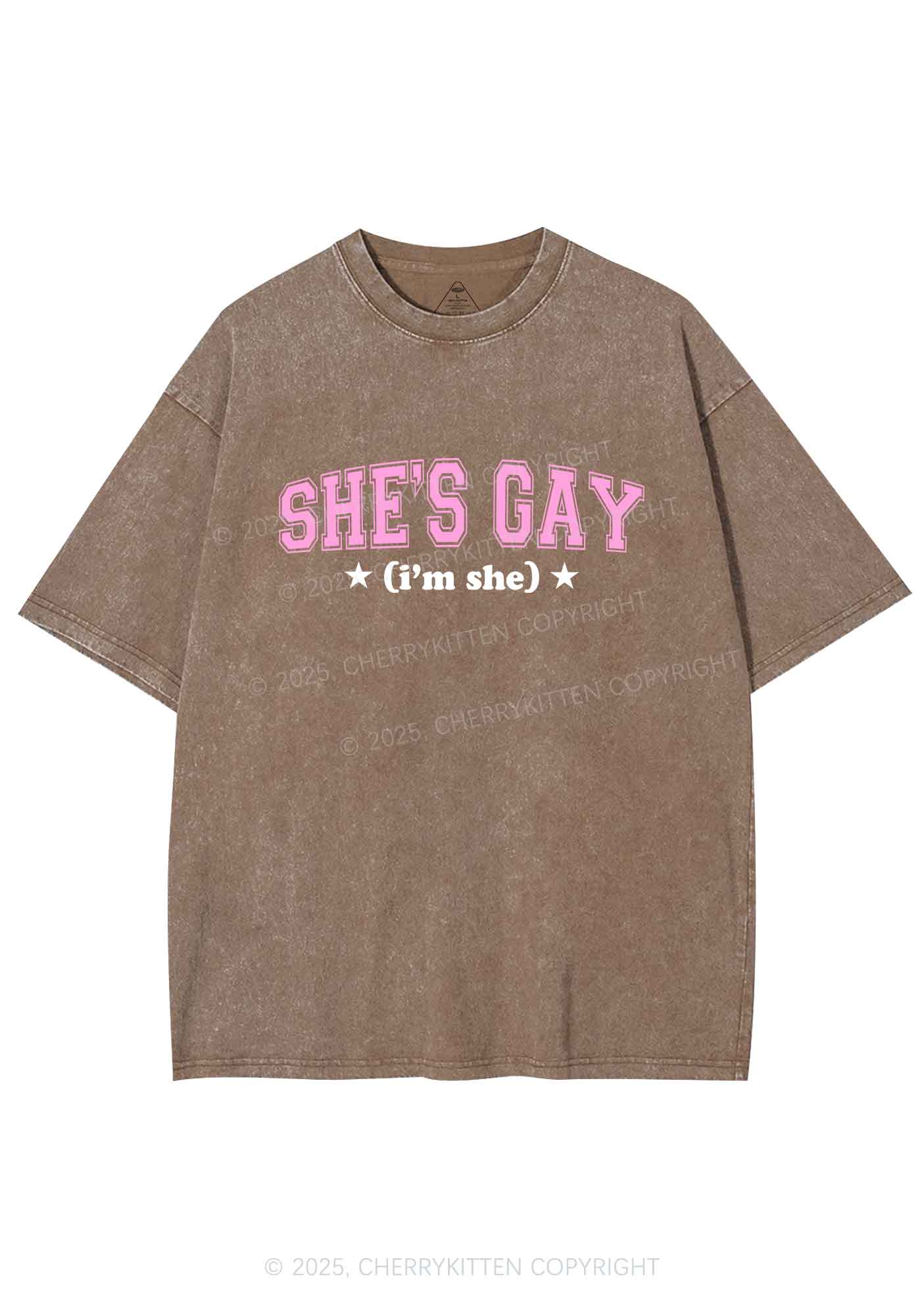 She Is Gay Y2K Shirts Washed Tee Cherrykitten