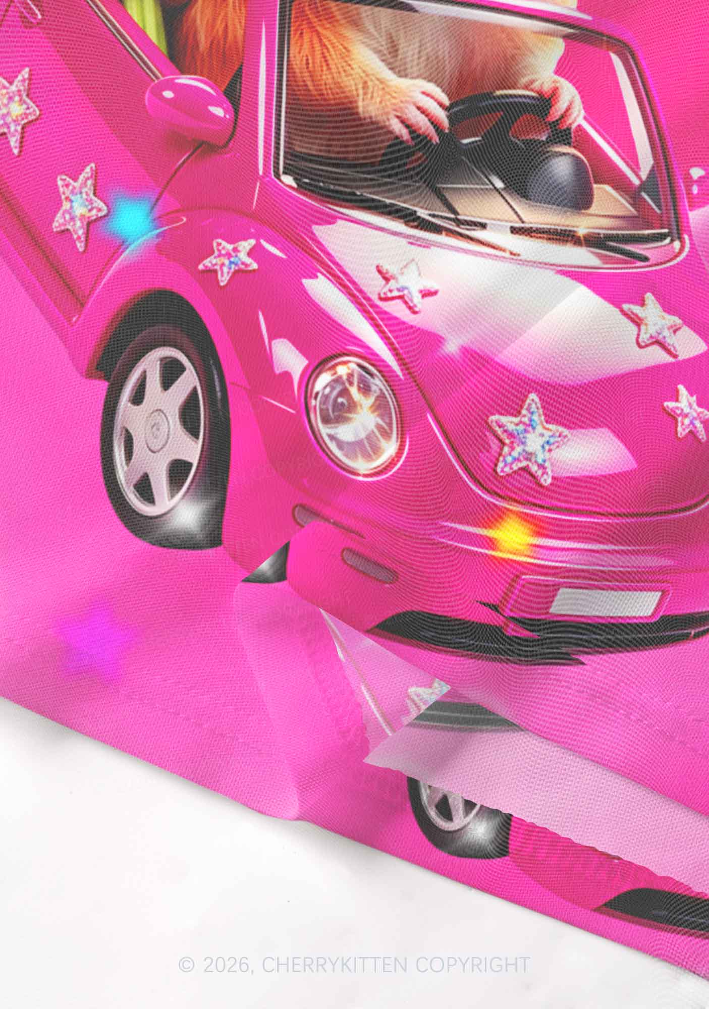 Pink Car Guinea Pig Y2K Mesh Crop Top Cherrykitten