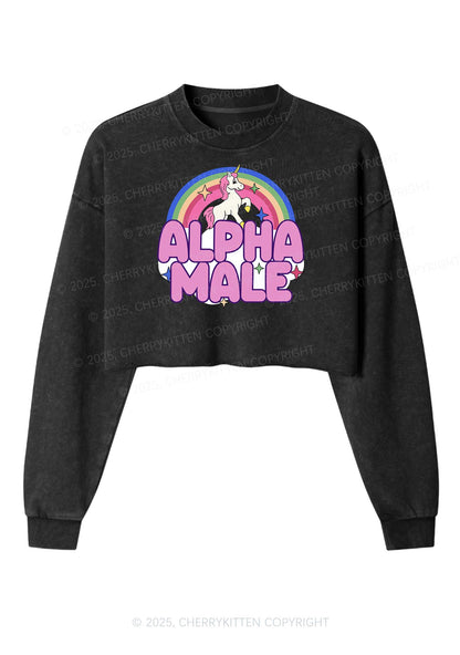 Rainbow Unicorn Alpha Male Y2K Crop Washed Sweatshirts Cherrykitten