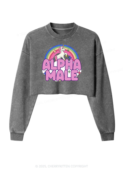 Rainbow Unicorn Alpha Male Y2K Crop Washed Sweatshirts Cherrykitten