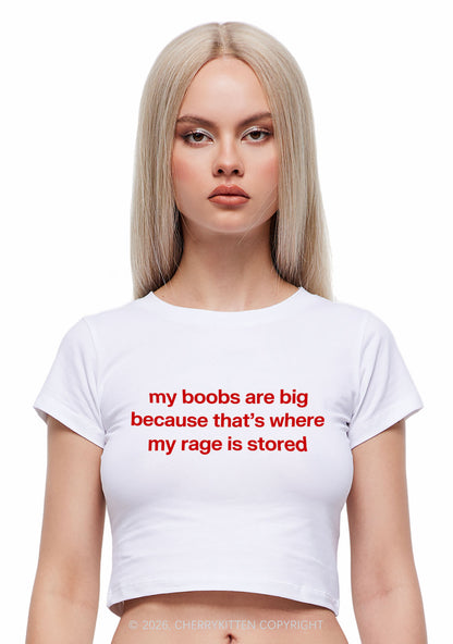 My Bxxbs Stored Rage Y2K Baby Tee Cherrykitten