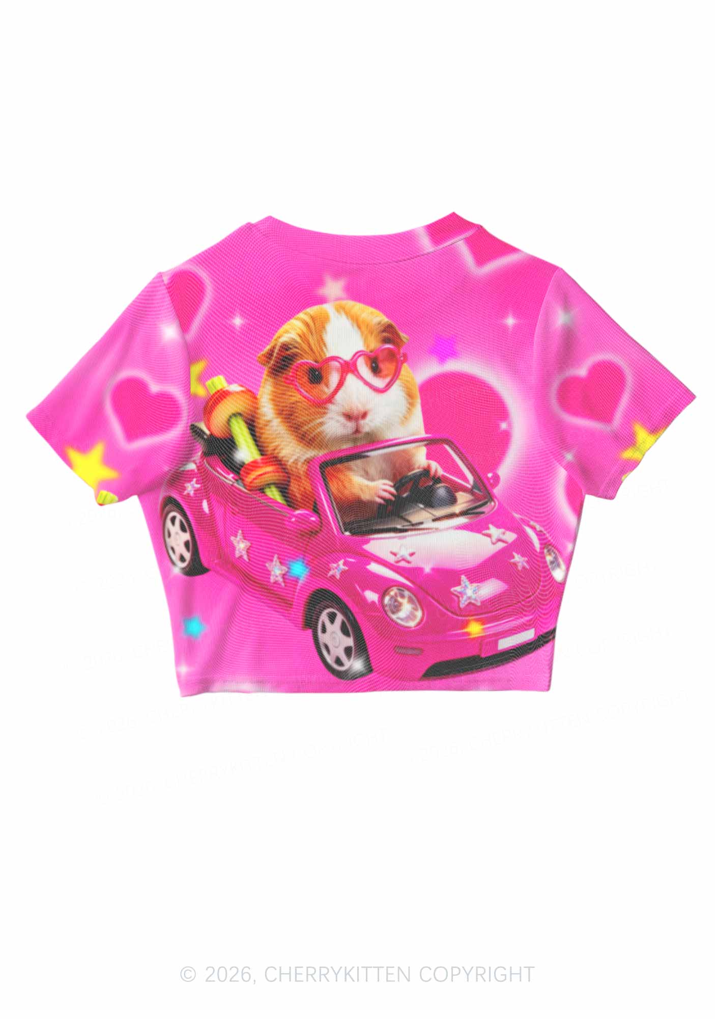 Pink Car Guinea Pig Y2K Mesh Crop Top Cherrykitten