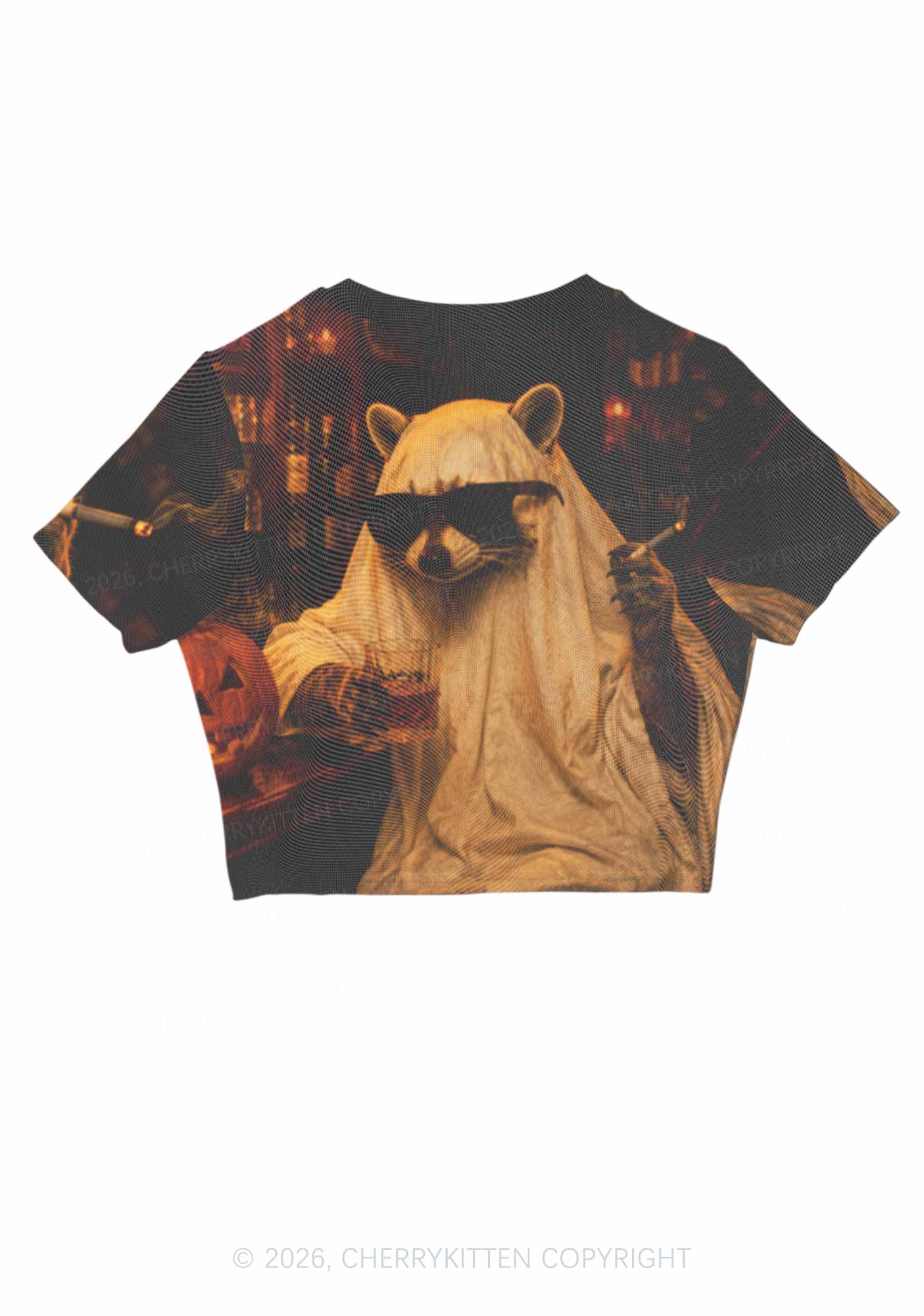 Halloween Ghost Raccoon Bar Y2K Mesh Crop Top Cherrykitten