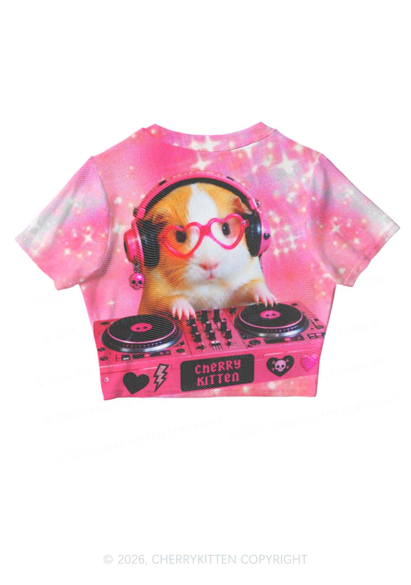 DJ Guinea Pig Y2K Mesh Crop Top Cherrykitten