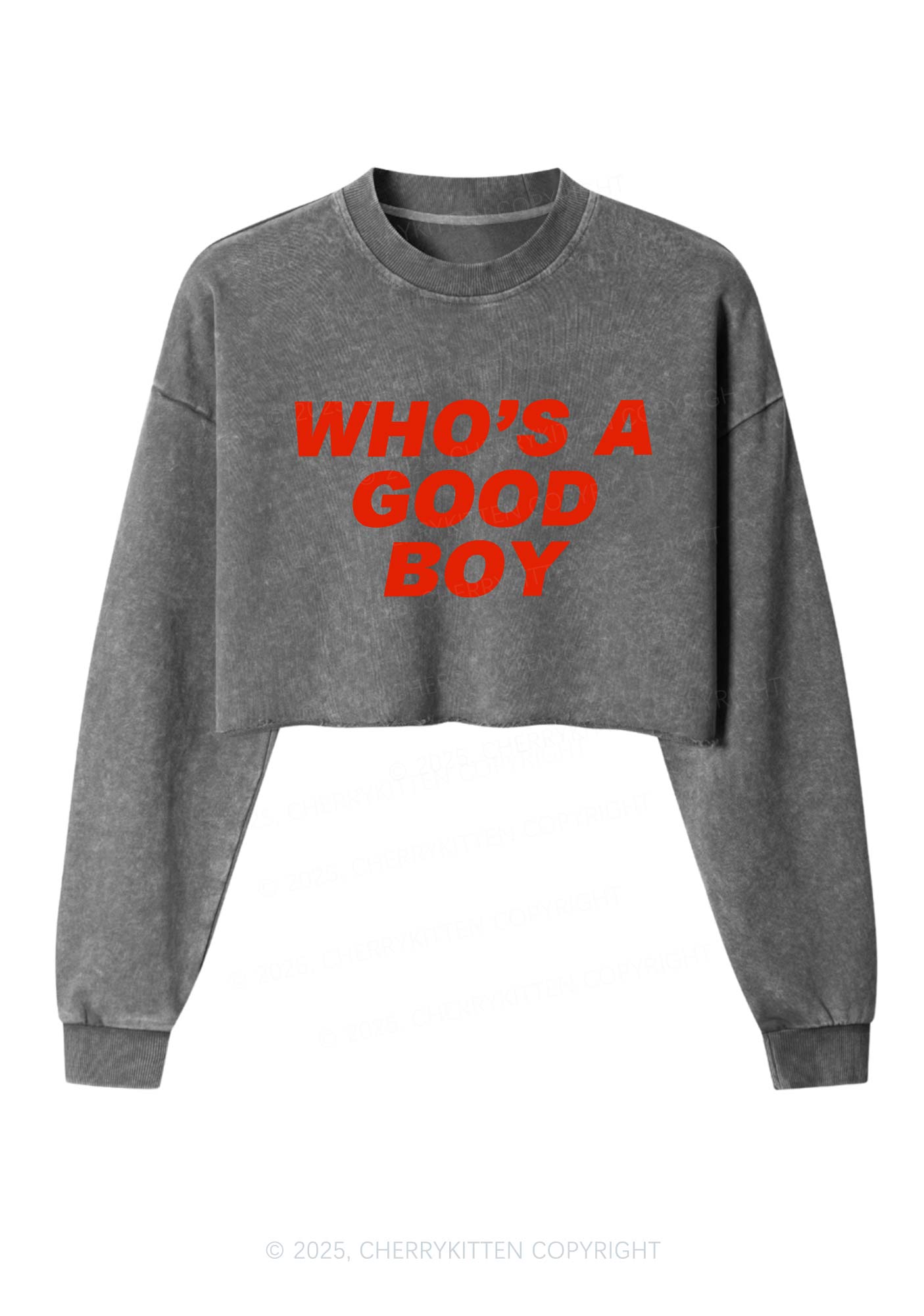 Whos A Good Boy Y2K Crop Washed Sweatshirts Cherrykitten