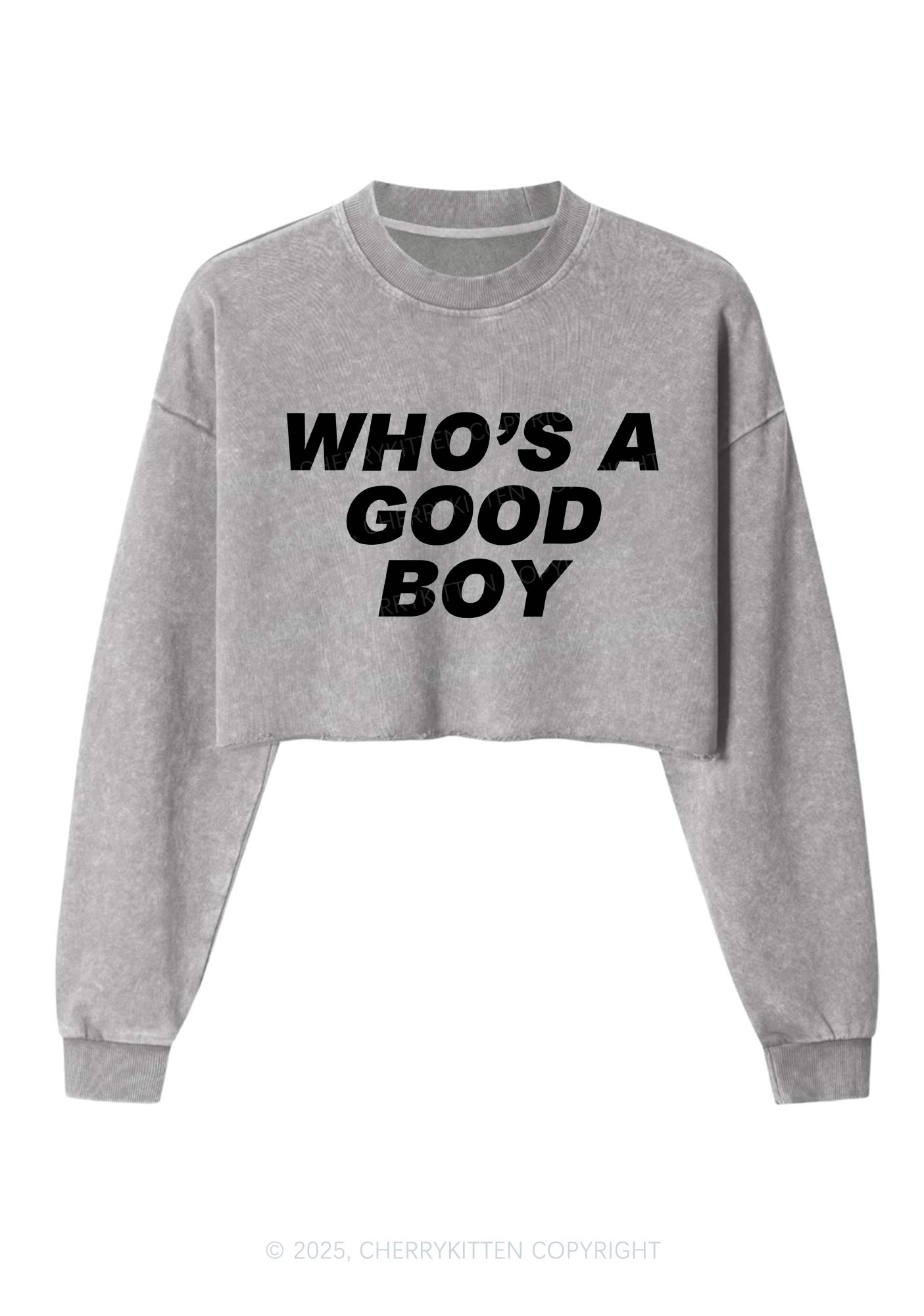 Whos A Good Boy Y2K Crop Washed Sweatshirts Cherrykitten