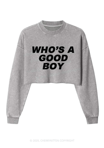 Whos A Good Boy Y2K Crop Washed Sweatshirts Cherrykitten