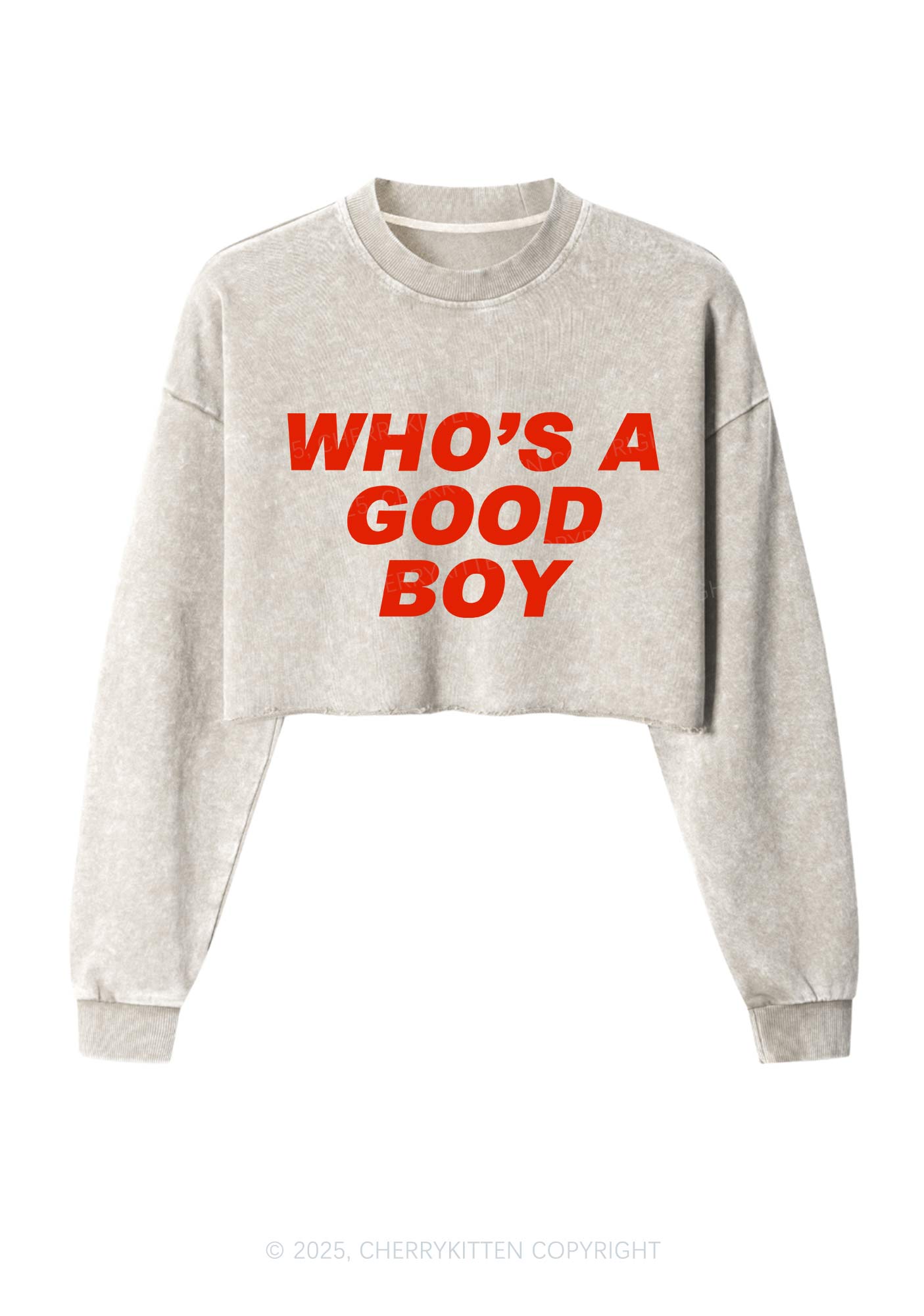 Whos A Good Boy Y2K Crop Washed Sweatshirts Cherrykitten