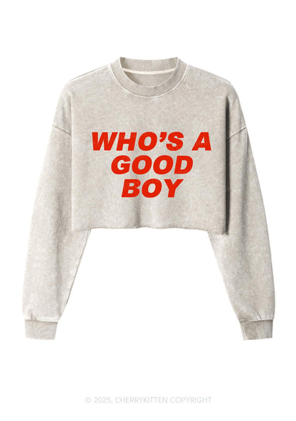 Whos A Good Boy Y2K Crop Washed Sweatshirts Cherrykitten