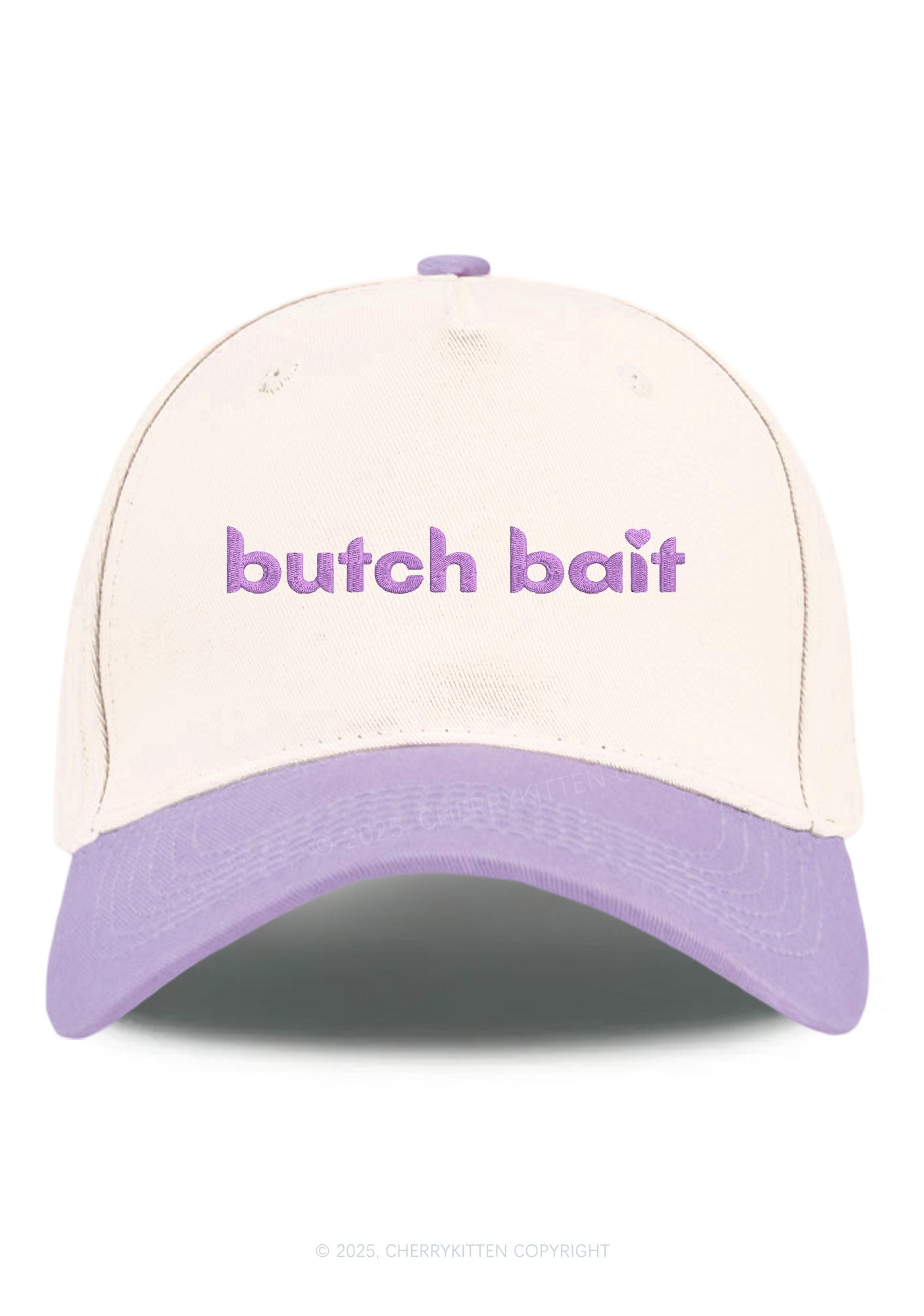 Embroidered Butch Bait Pride Y2K Color Block Baseball Cap Cherrykitten