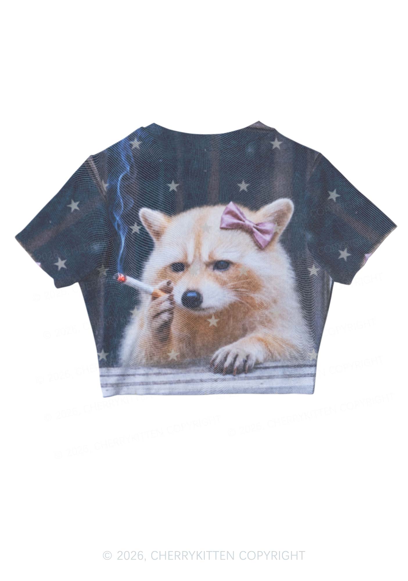 Pink Bow Smoking Raccoon Y2K Mesh Crop Top Cherrykitten