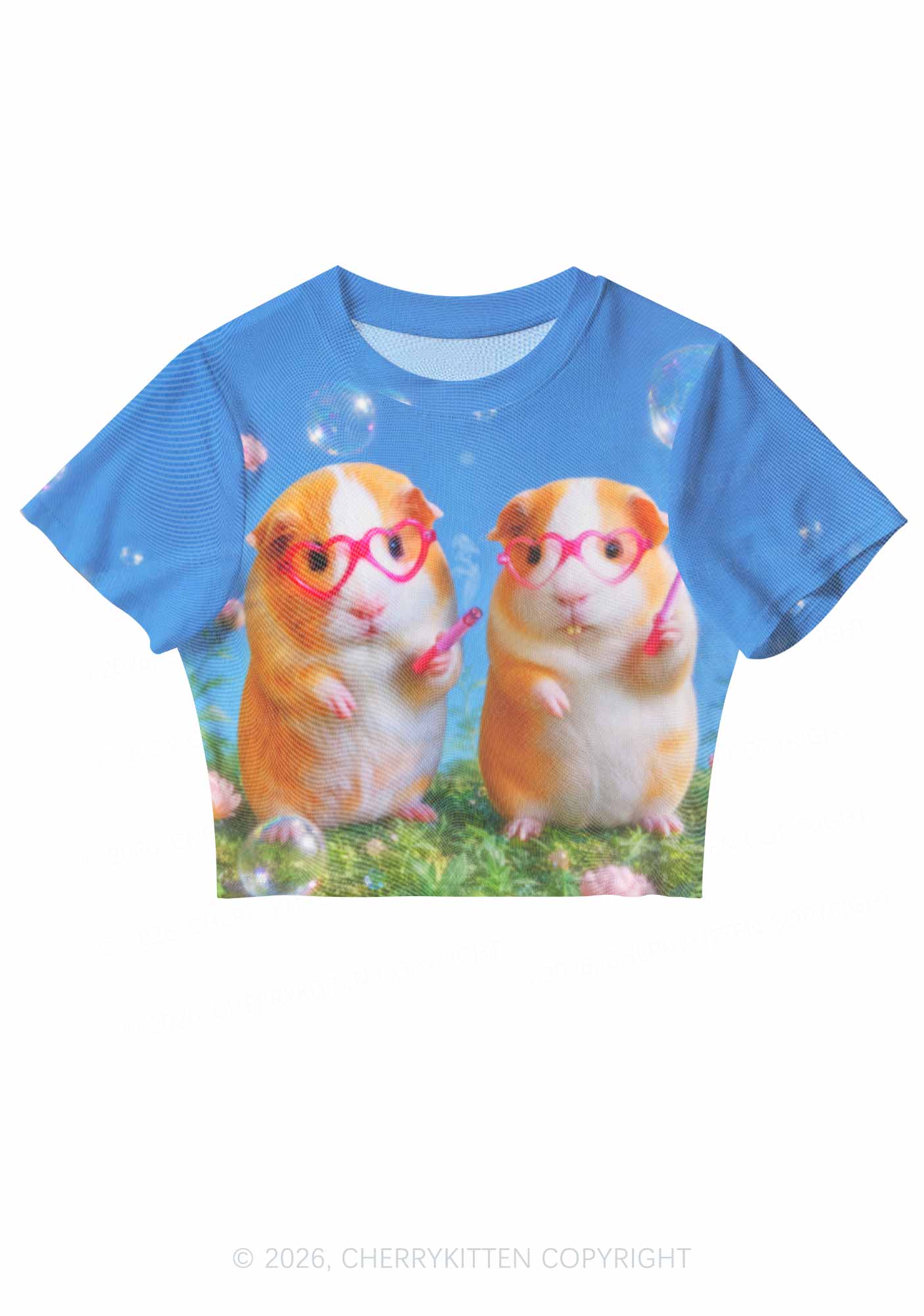 Two Smoking Guinea Pigs Y2K Mesh Crop Top Cherrykitten