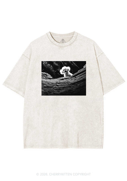 Halloween Bichon Frise Dog Y2K Shirts Washed Tee Cherrykitten