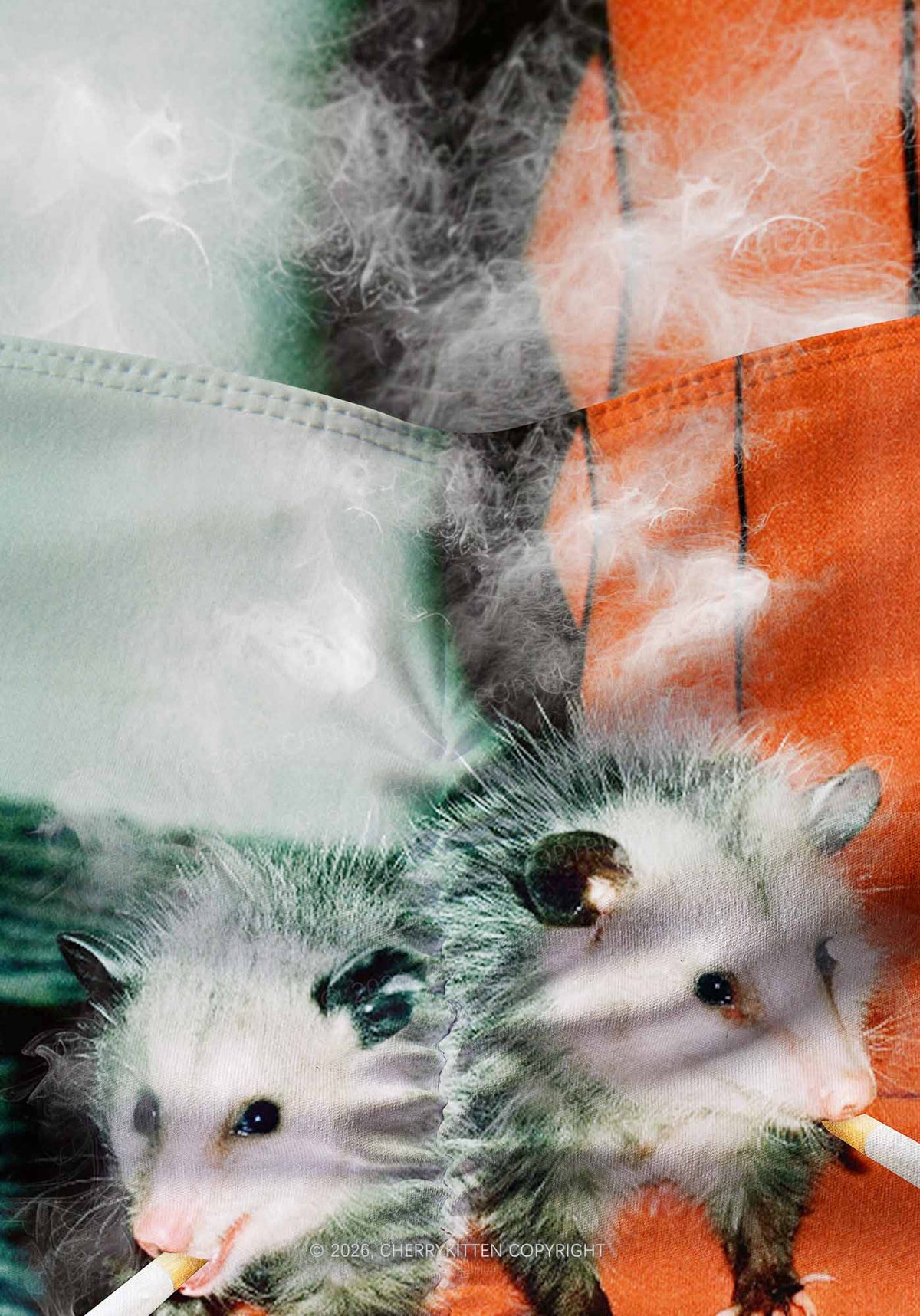 Smoking Badass Possum Y2K Print Gym Shorts Cherrykitten
