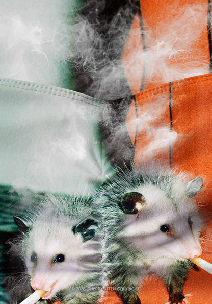 Smoking Badass Possum Y2K Print Gym Shorts Cherrykitten