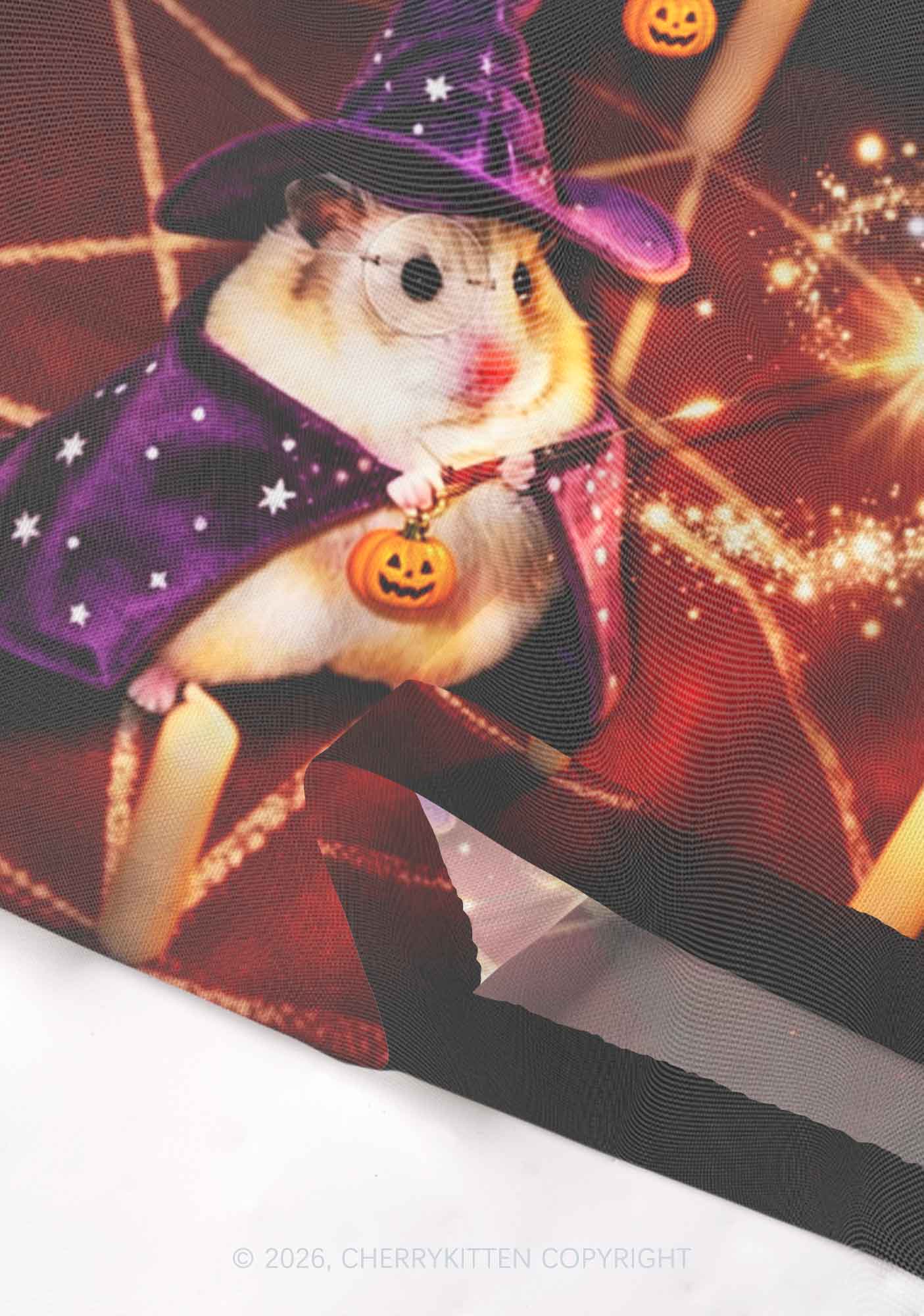 Halloween Wizard Hamster Y2K Mesh Crop Top Cherrykitten