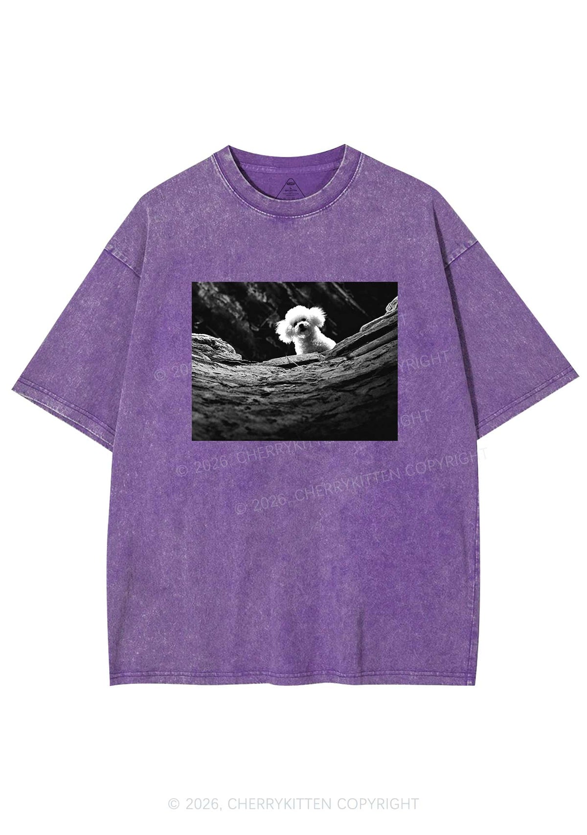 Halloween Bichon Frise Dog Y2K Shirts Washed Tee Cherrykitten