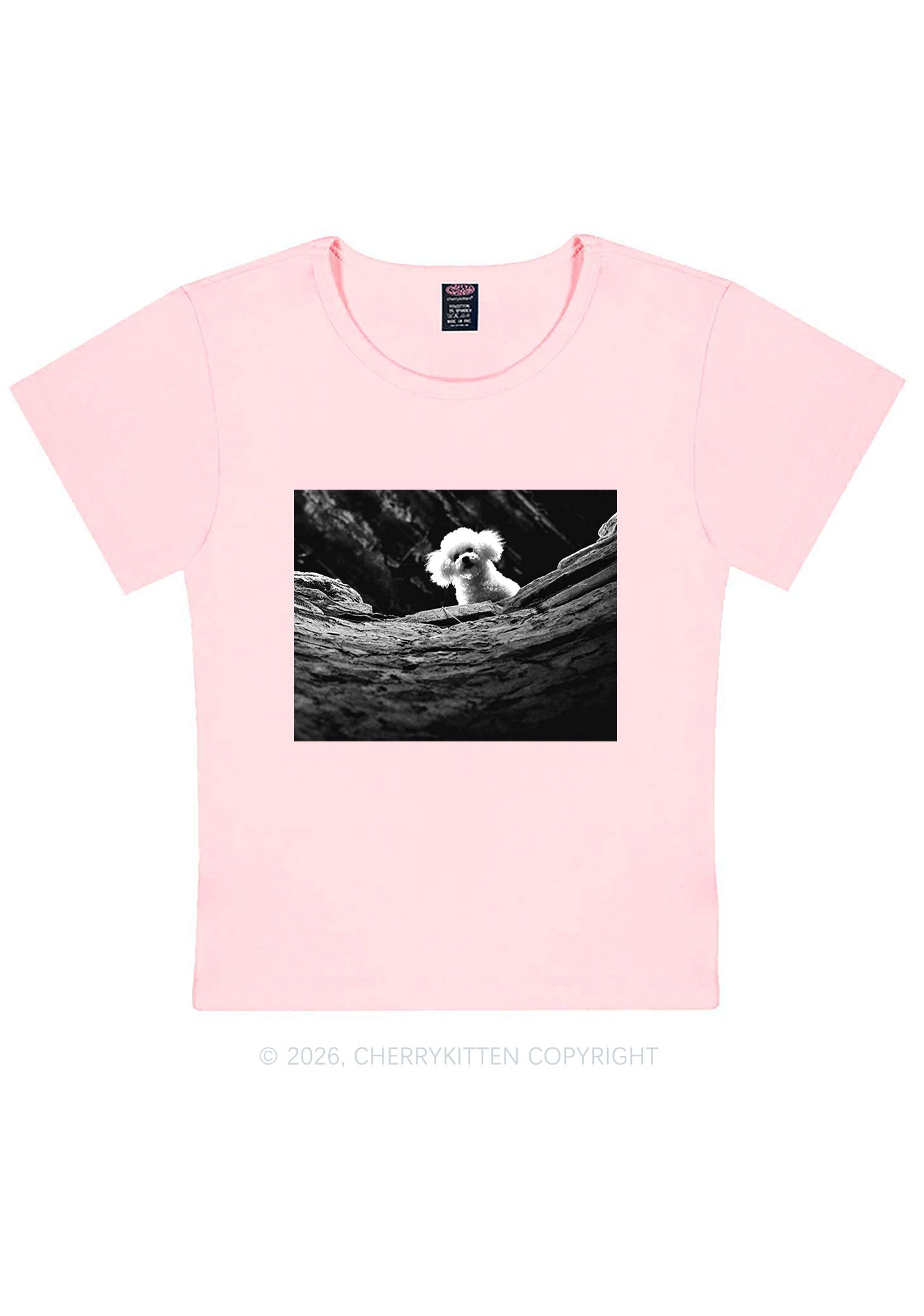 Halloween Bichon Frise Dog Y2K Baby Tee Cherrykitten
