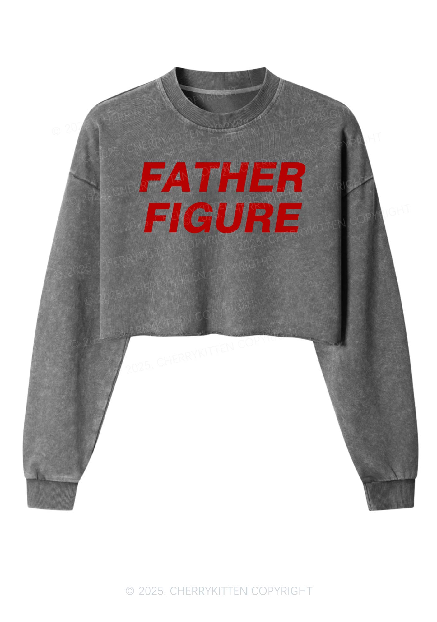 Father Figure Y2K Crop Washed Sweatshirts Cherrykitten