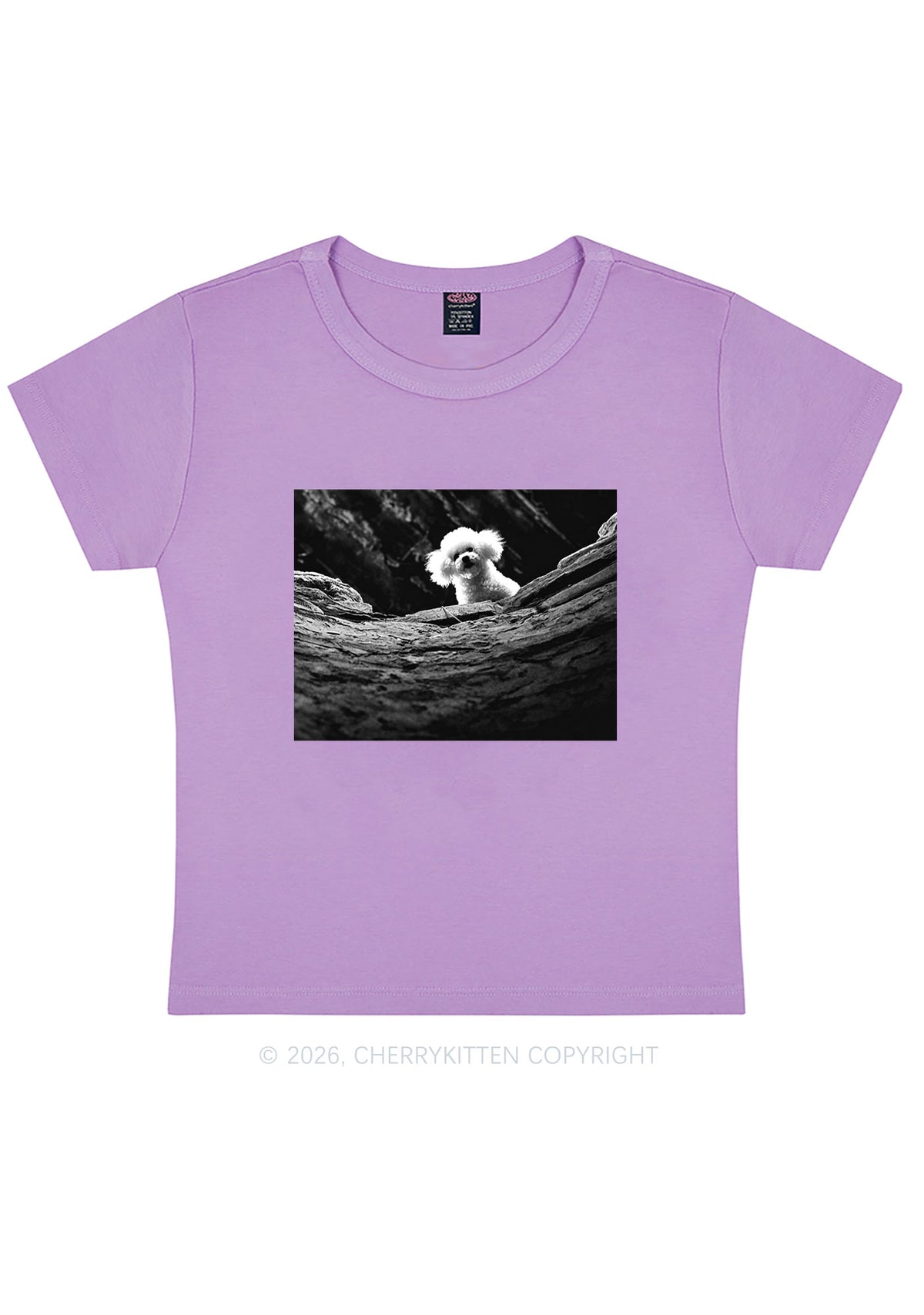 Halloween Bichon Frise Dog Y2K Baby Tee Cherrykitten