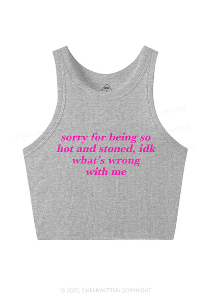 Sorry For Being Hot And Stoned Y2K Crop Tank Top Cherrykitten